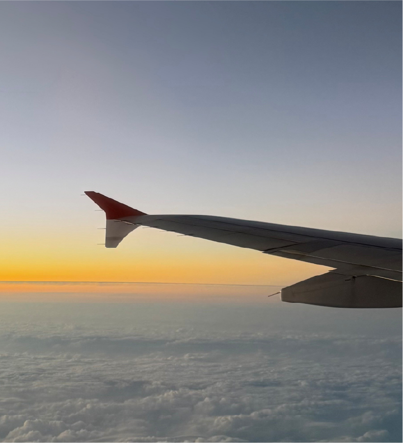 日本の小売業者を世界的な展開へ